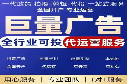 谷歌竞价广告与SEO结合的营销案例解析